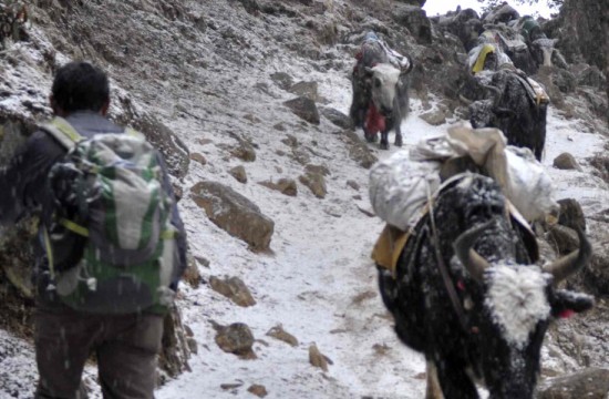 Everest Base Camp Trek Difficulty