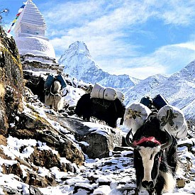 Visit Nepal  Selected Treks