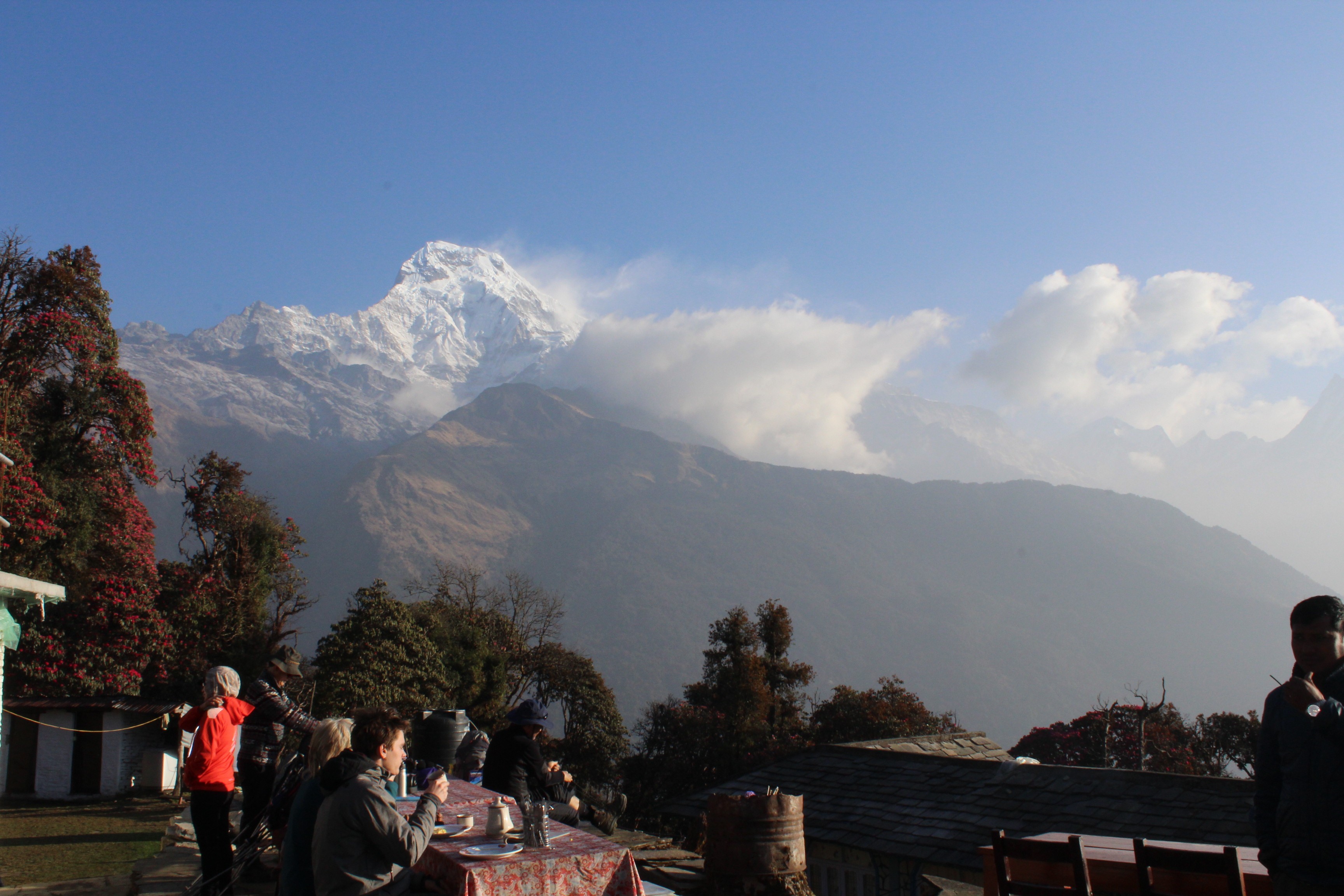 There are reasons why People like Mardi Himal Trek Annapurna