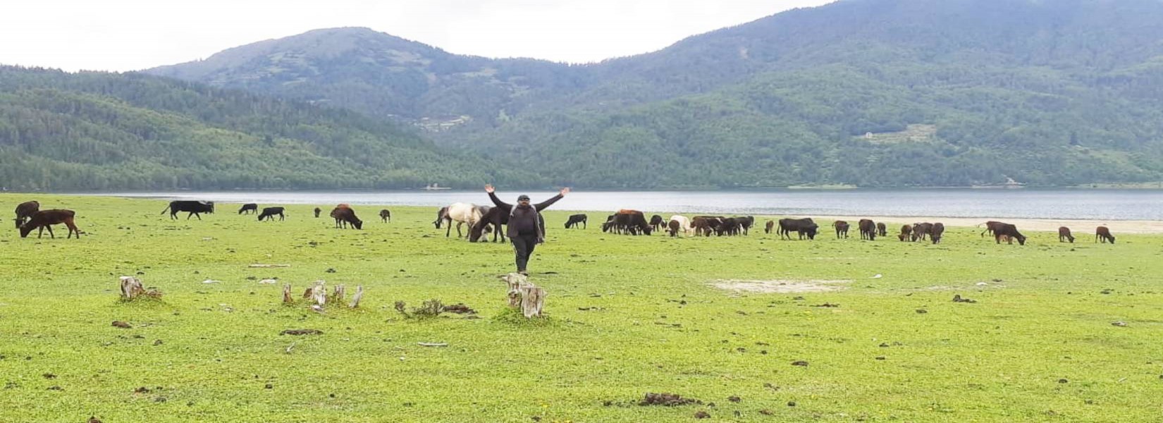 Rara Lake Jeep Tour