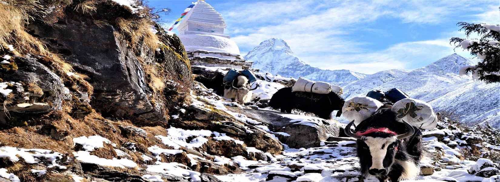 Visit Nepal 2020 Selected Treks